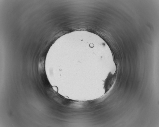 X0000112430190200909251544