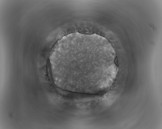 X0000112430192200909251544