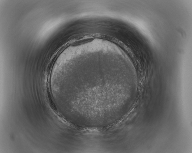 X0000112430194200909251544