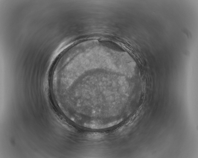 X0000112430198200909251544