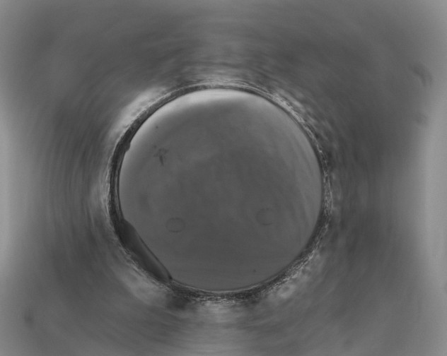 X0000112430199200909251544