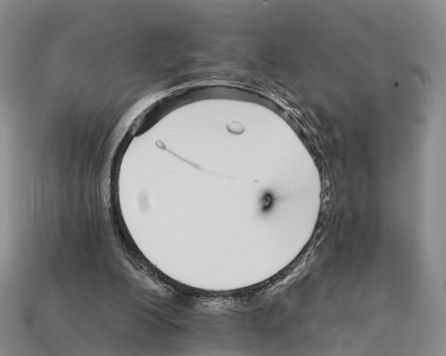 X0000112430200200909251543