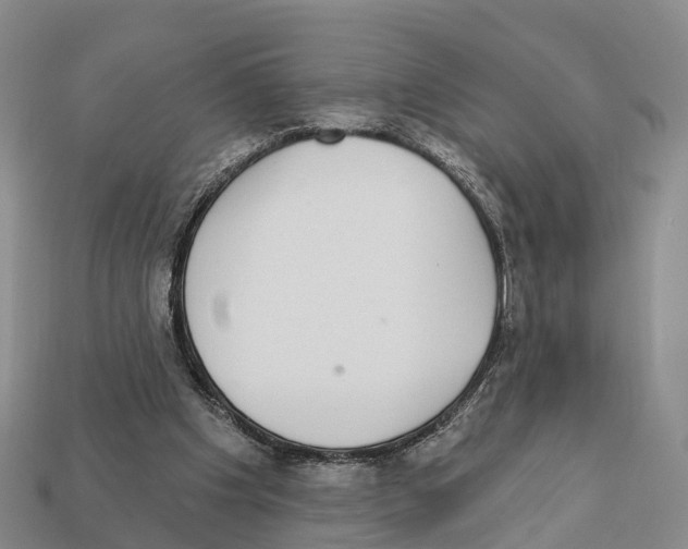 X0000112430201200909251543