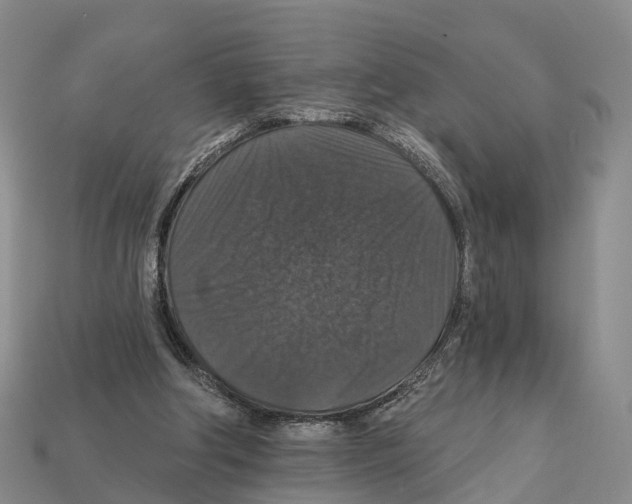 X0000112430202200909251543