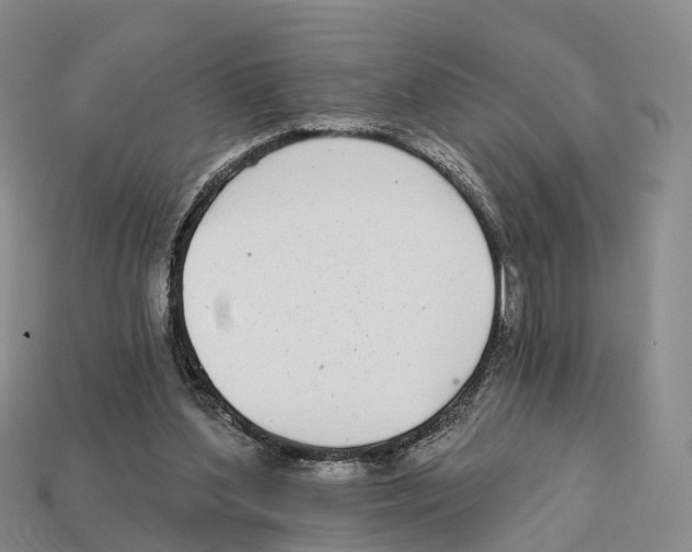 X0000112430204200909251543