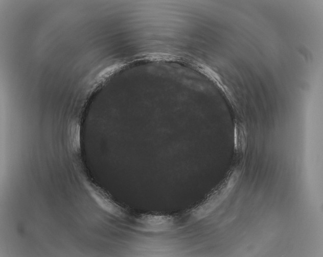 X0000112430205200909251543