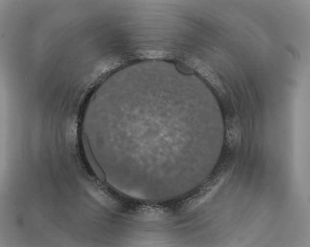 X0000112430207200909251543
