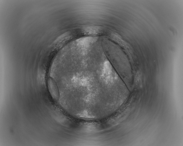 X0000112430209200909251543