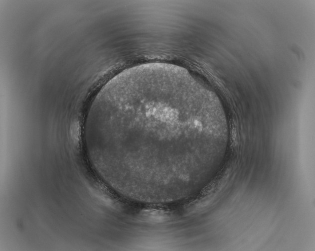 X0000112430211200909251543