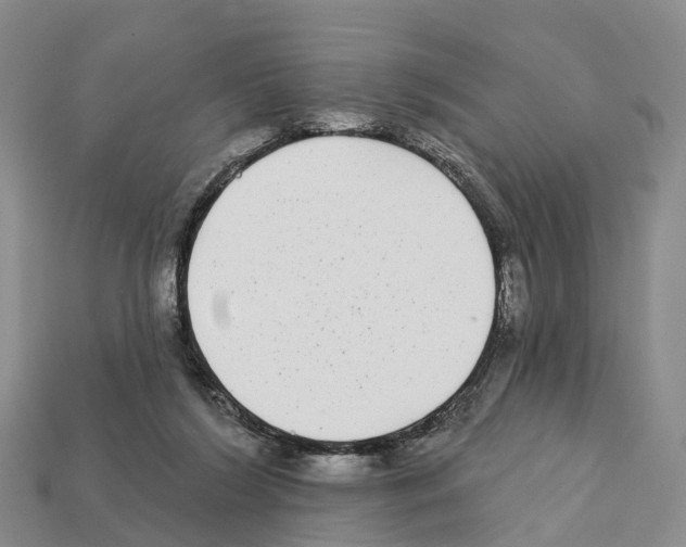 X0000112430212200909251543