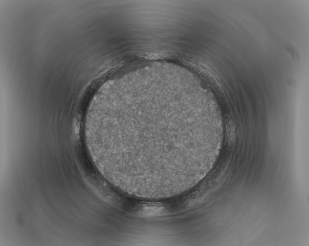 X0000112430214200909251543
