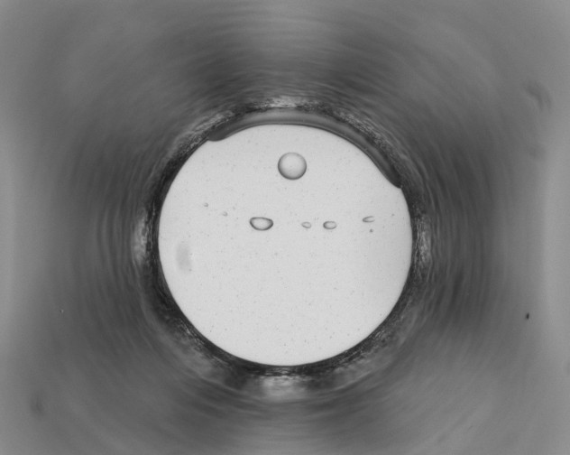 X0000112430216200909251543