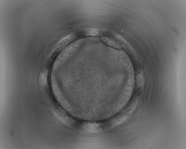 X0000112430217200909251543