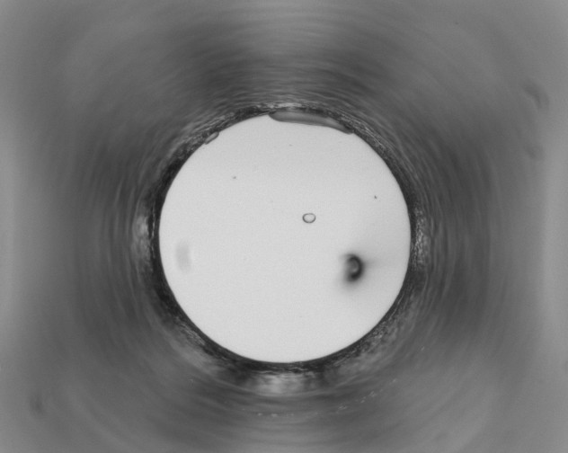 X0000112430220200909251543