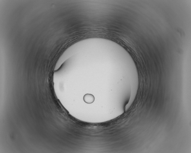 X0000112430221200909251543