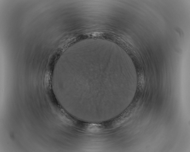 X0000112430222200909251543