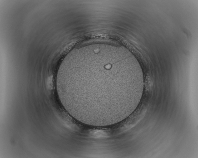 X0000112430224200909251543