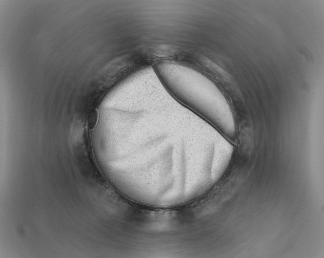 X0000112430225200909251543