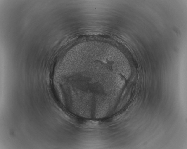 X0000112430227200909251543
