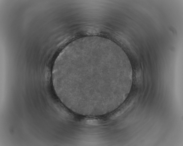 X0000112430228200909251543