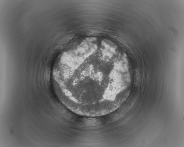 X0000112430230200909251543
