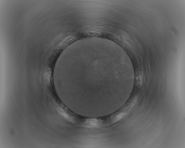 X0000112430231200909251543