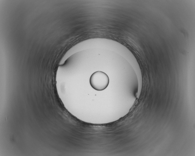 X0000112430233200909251543