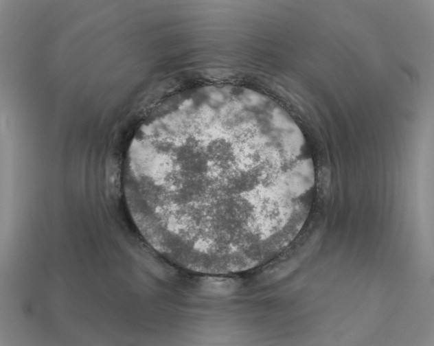 X0000112430234200909251543