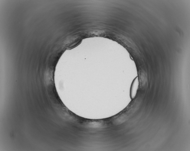 X0000112430236200909251543