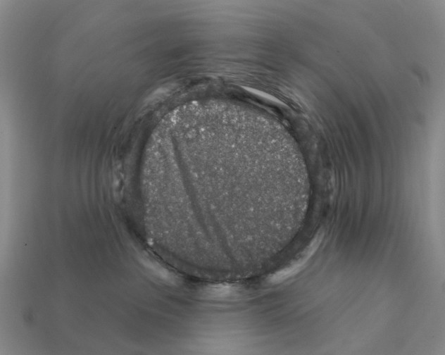 X0000112430237200909251543