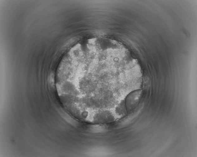 X0000112430238200909251543