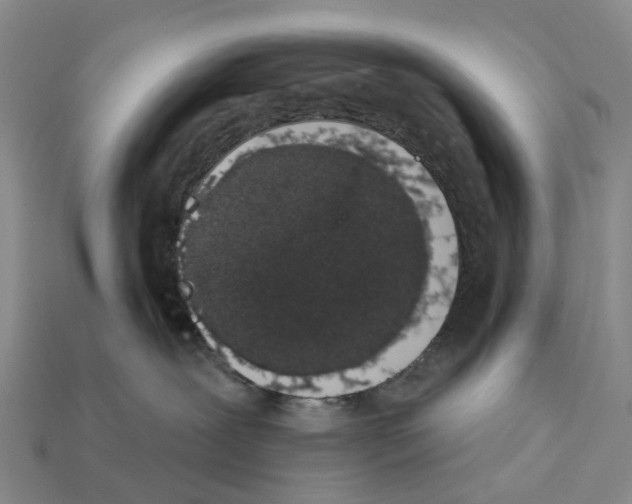 X0000112430239200909251543