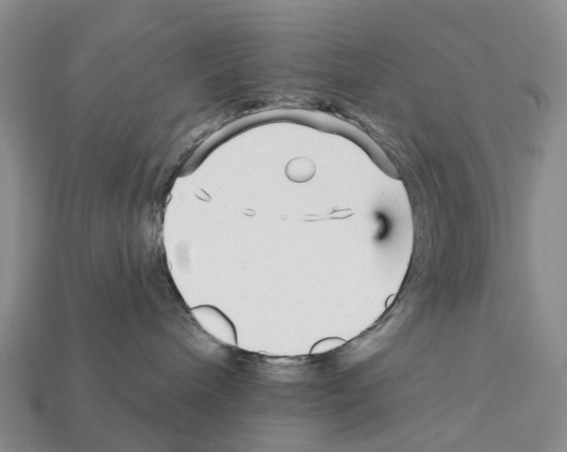 X0000112430240200909251543