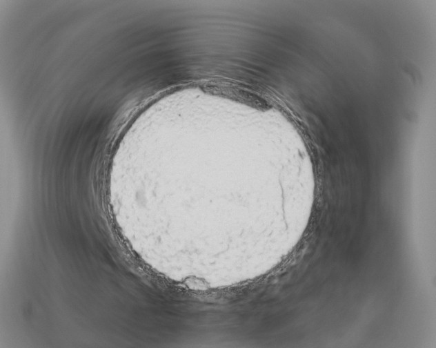 X0000112430241200909251542
