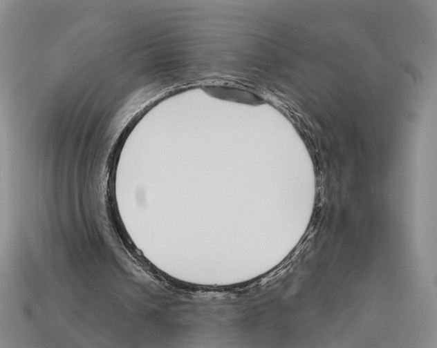 X0000112430242200909251542
