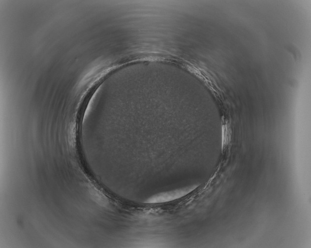X0000112430243200909251542