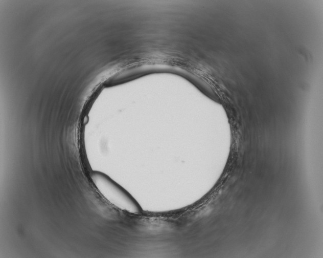 X0000112430244200909251542
