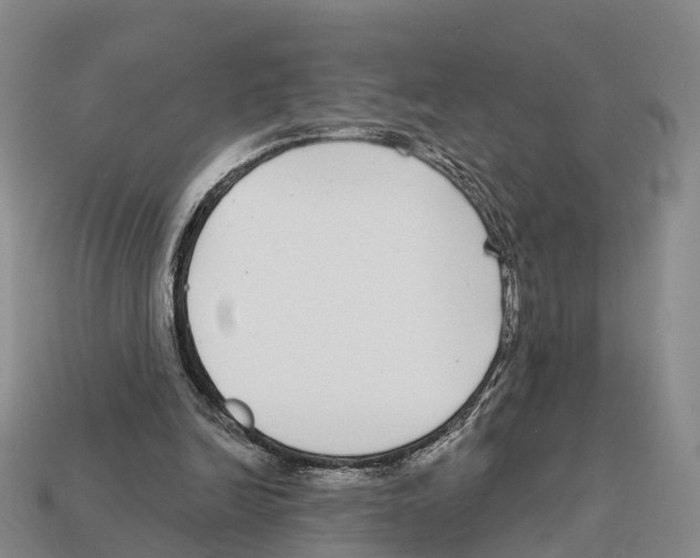 X0000112430246200909251542