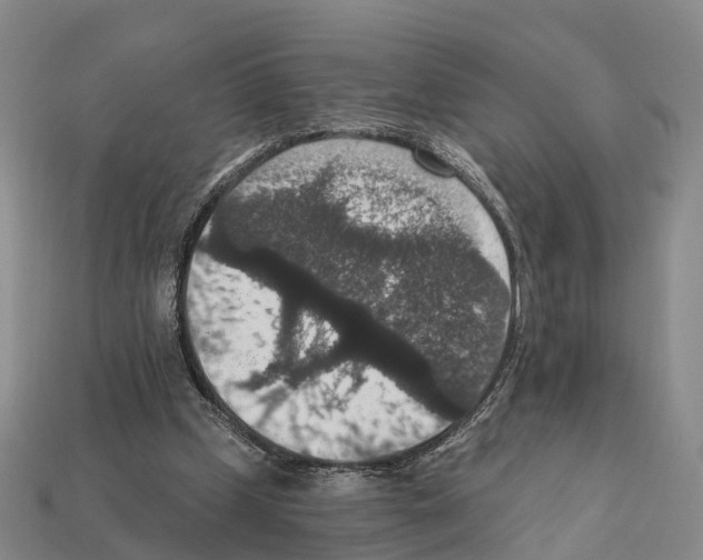 X0000112430249200909251542