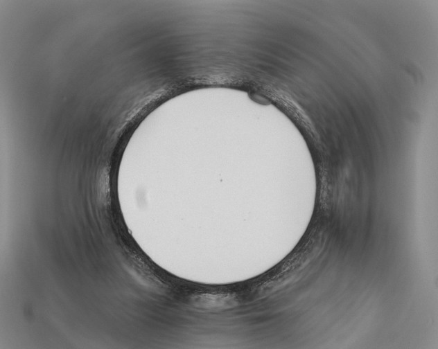 X0000112430251200909251542