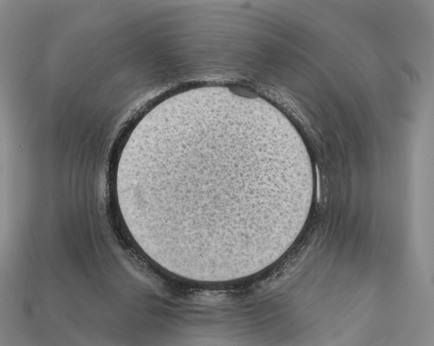 X0000112430252200909251543