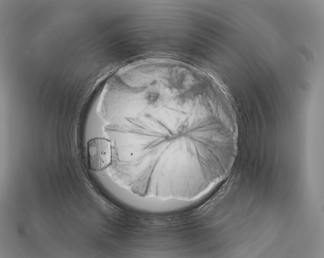 X0000112430253200909251543