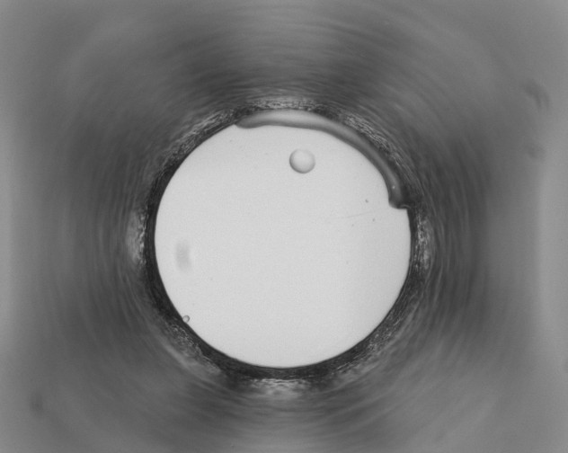 X0000112430255200909251543