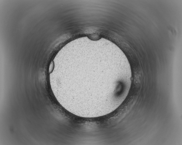 X0000112430256200909251543