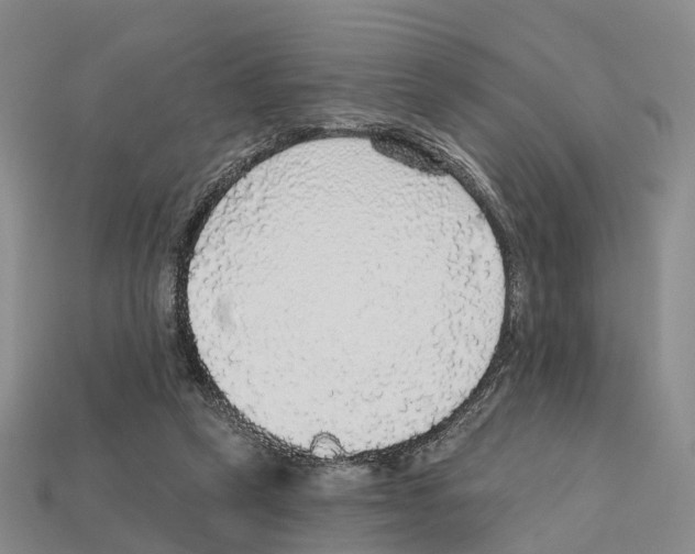 X0000112430257200909251543