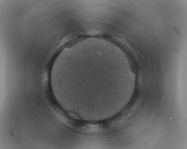 X0000112430260200909251543