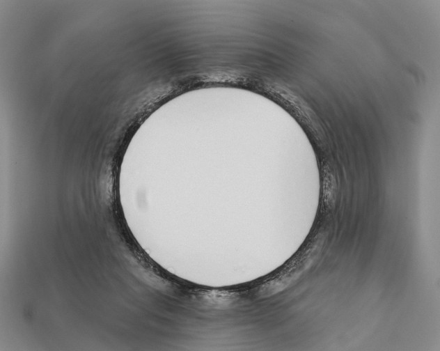 X0000112430261200909251543