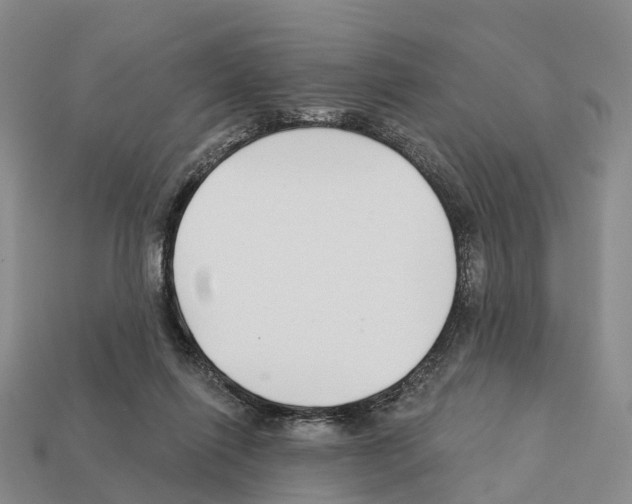 X0000112430262200909251543