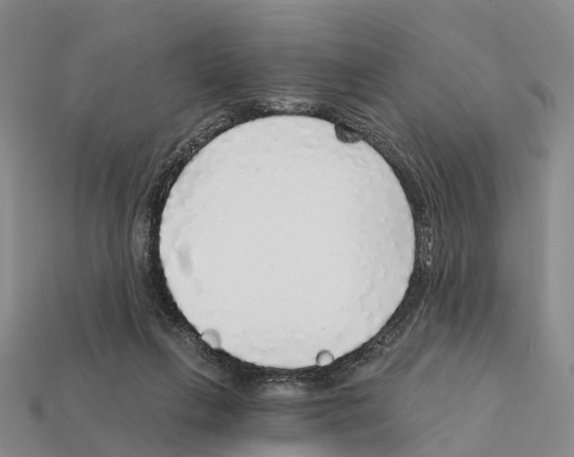 X0000112430263200909251543
