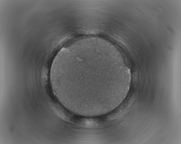 X0000112430264200909251543